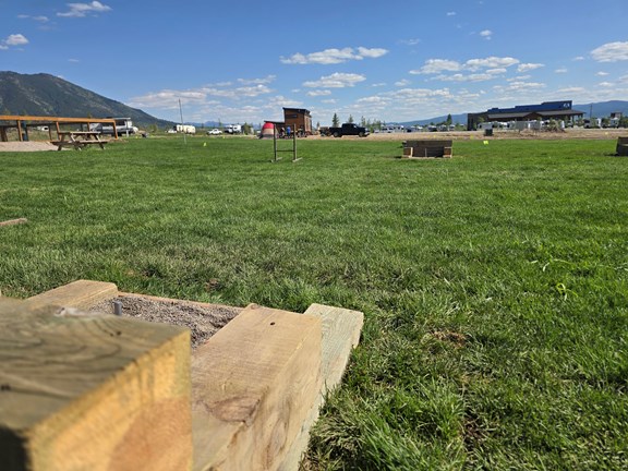 Horseshoes