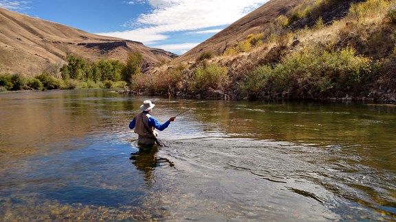 Fly Fishing