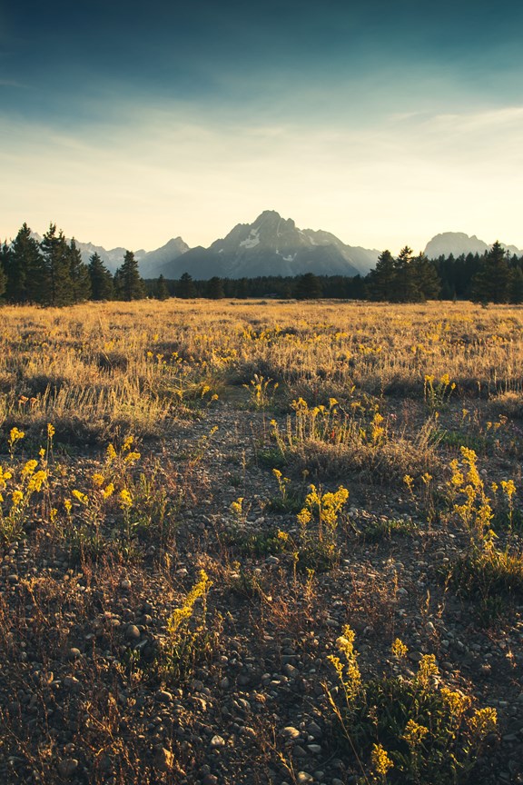 Jackson Hole Mountain Resort