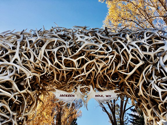 Jackson Hole Playhouse