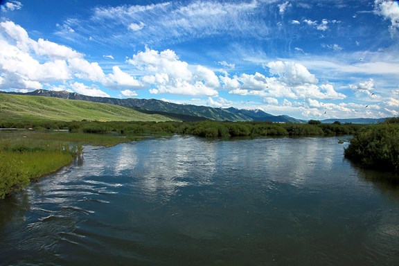 Salt River