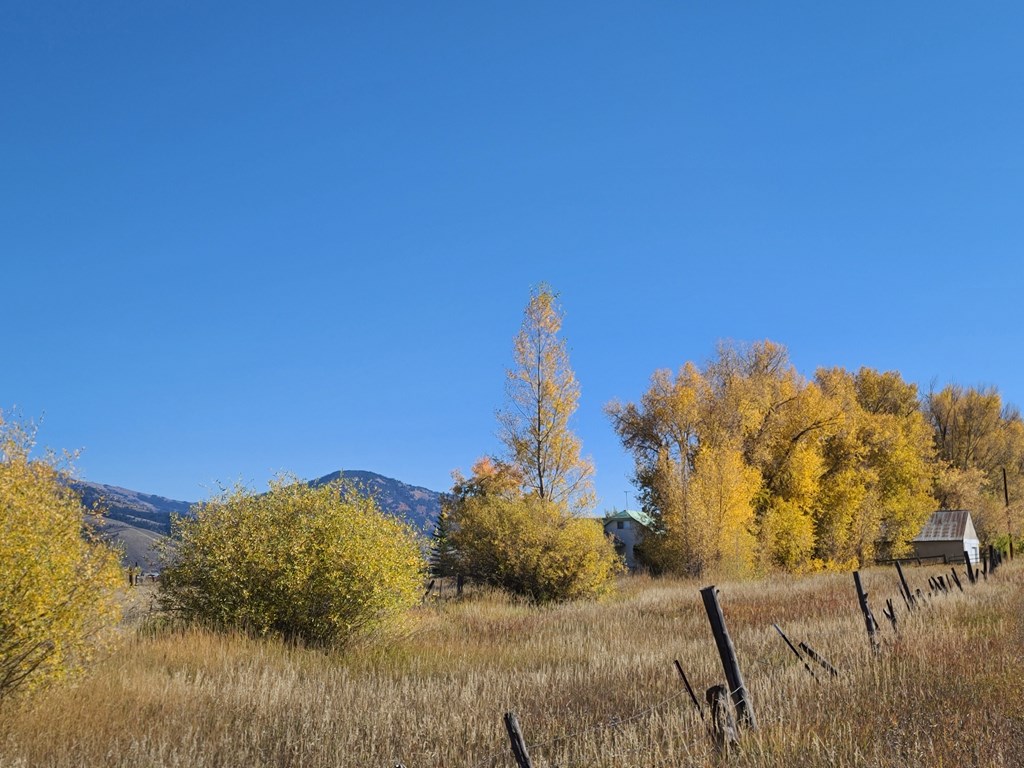 A 2-Day Leaf-Peeping Itinerary Through Star Valley & Jackson