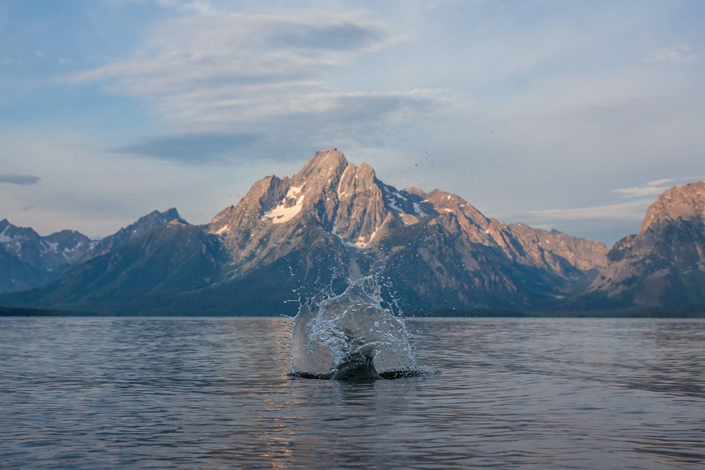 Fly Fishing Paradise: Discovering the Best Waters Around