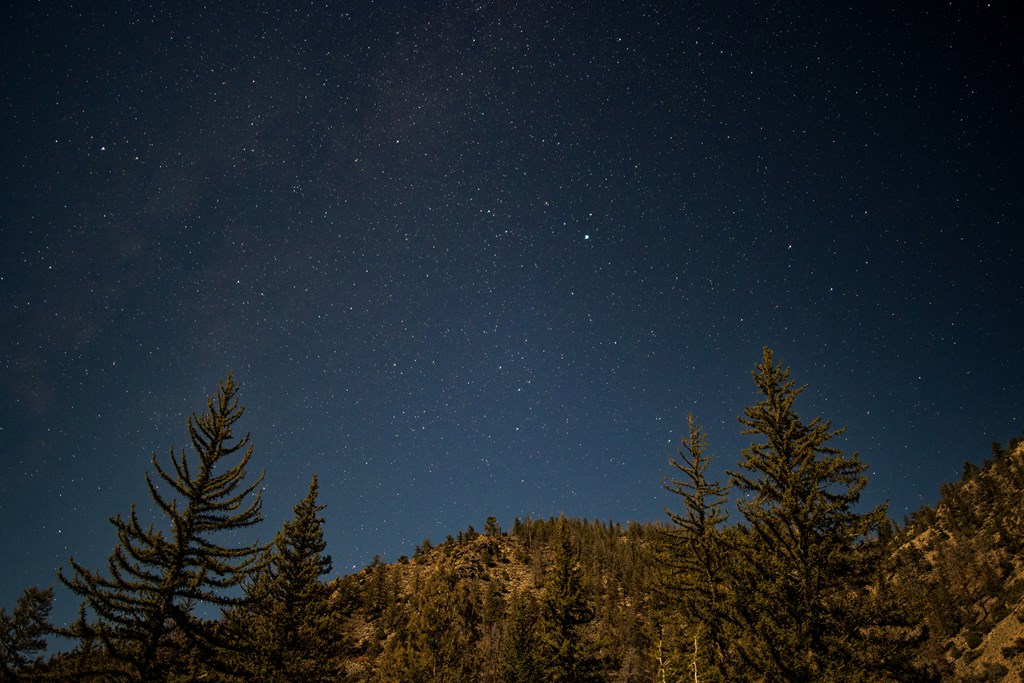 Stargazing in Star Valley, Wyoming: A Front-Row Seat to the
