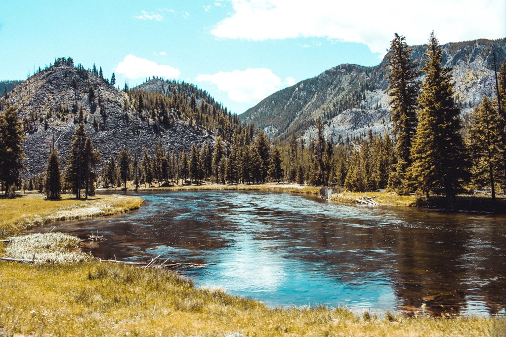 Where to Fish in Star Valley Wyoming