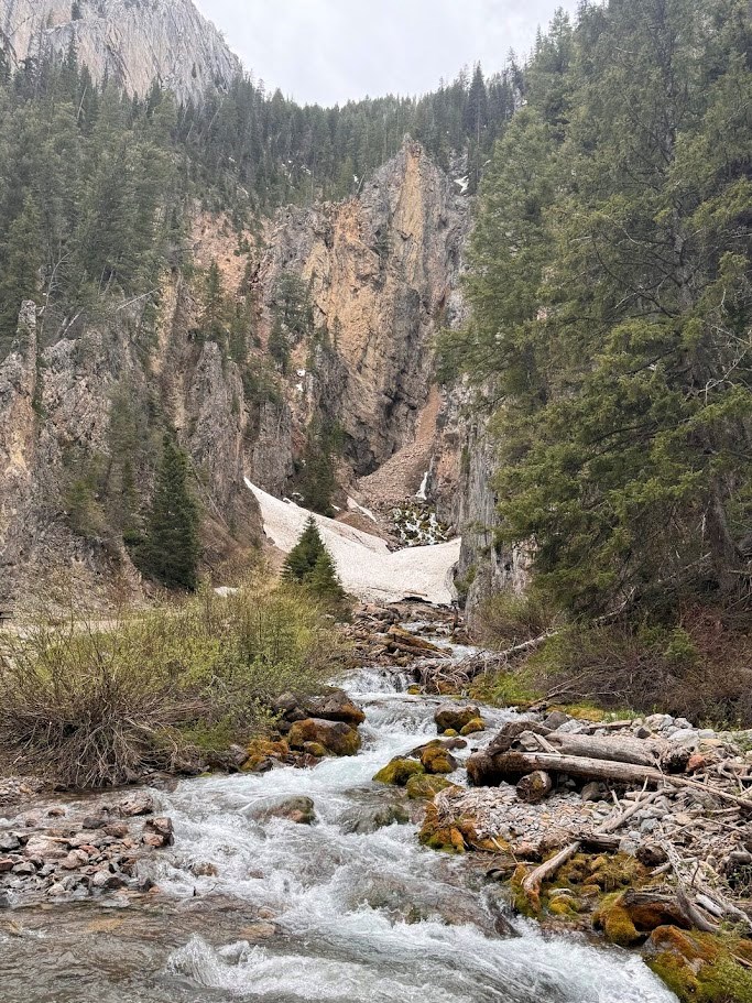 Things to See: Periodic Spring aka Intermittent Spring