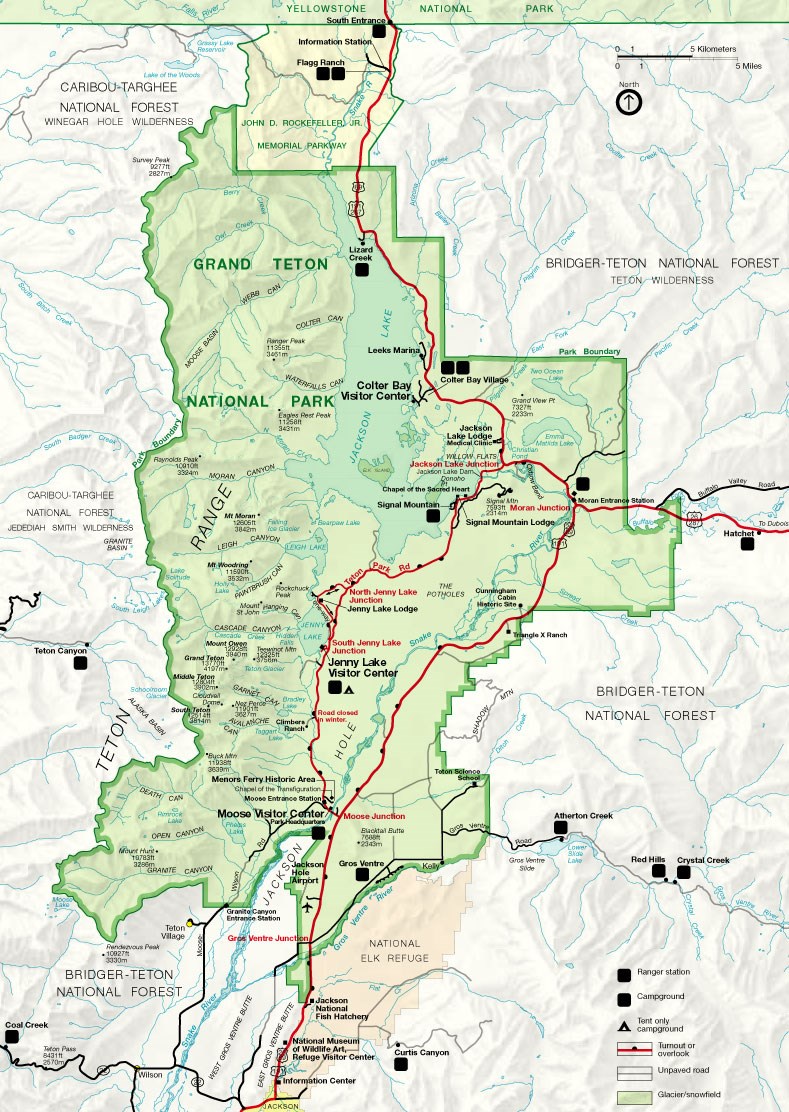 Best Places to See Wildlife in Grand Teton National Park
