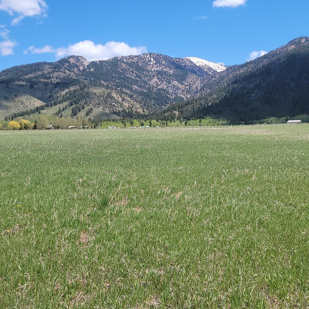 What To do in Star Valley, Wyoming