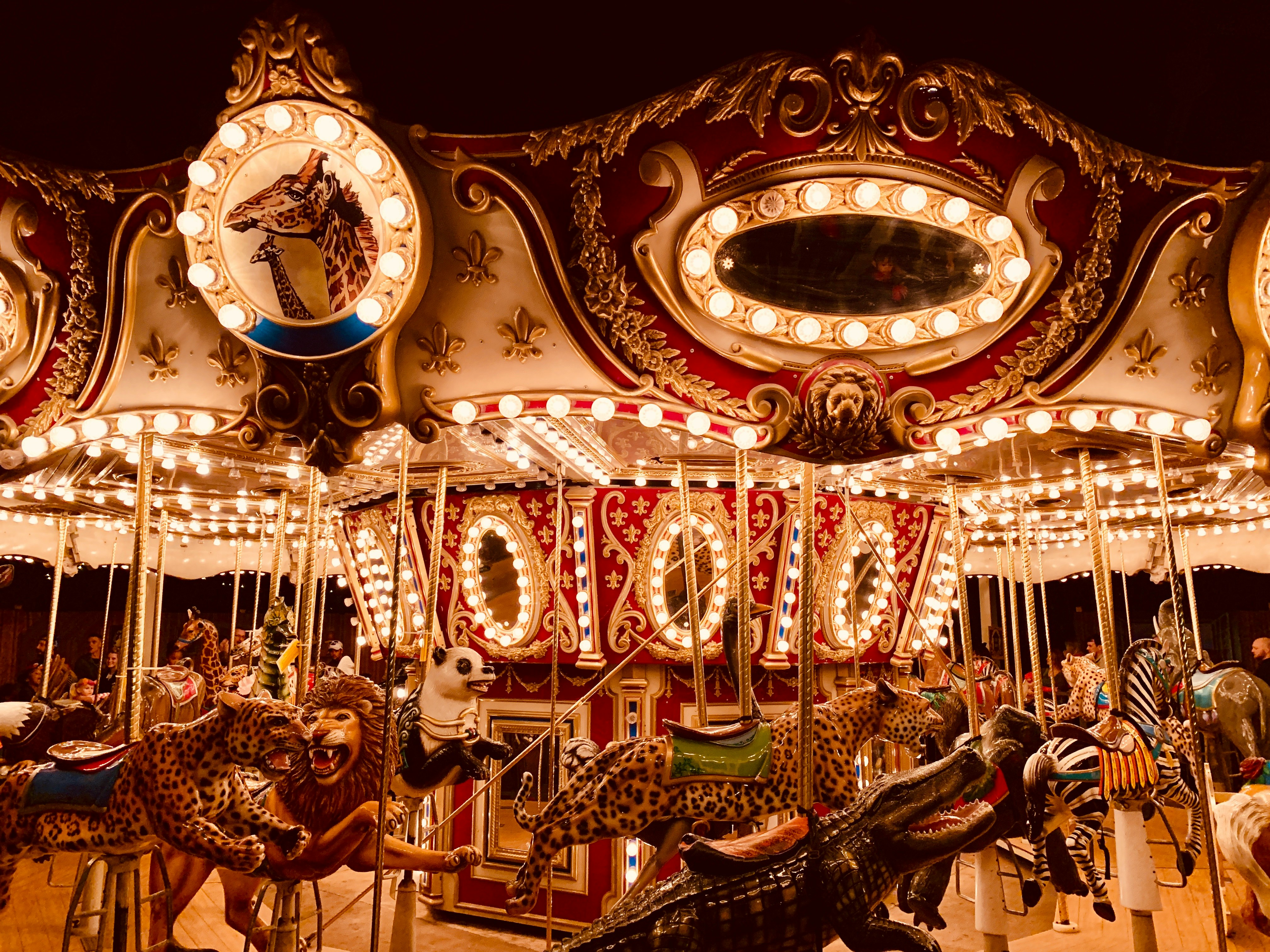 Teton County Fair Photo