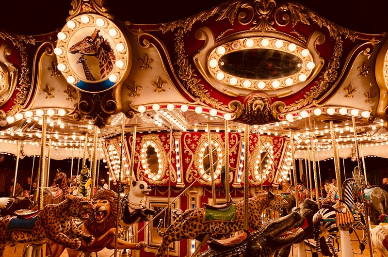 Teton County Fair Photo