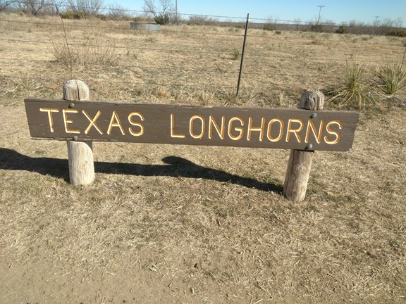 Welcome to the Amarillo KOA