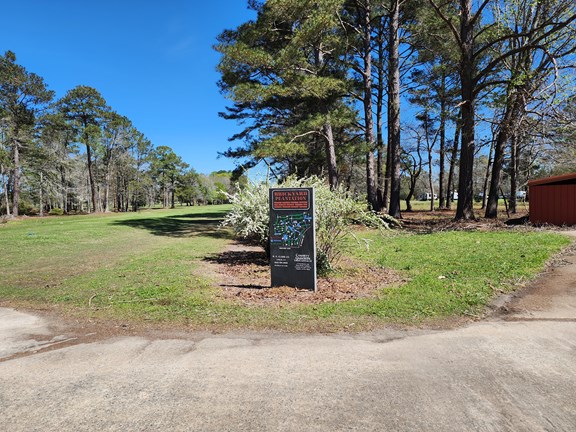 Ball Golf