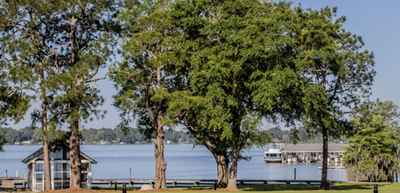 Lake Blackshear