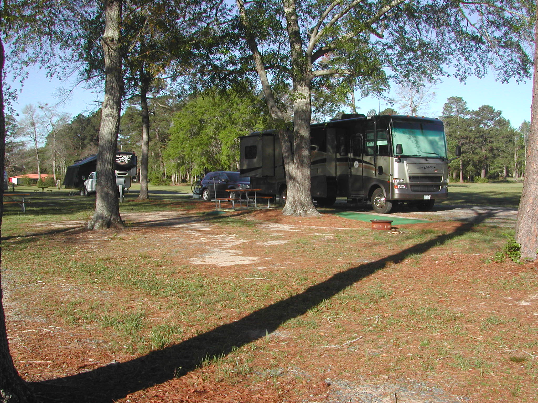 Row C in the shade with a firering and picnic table