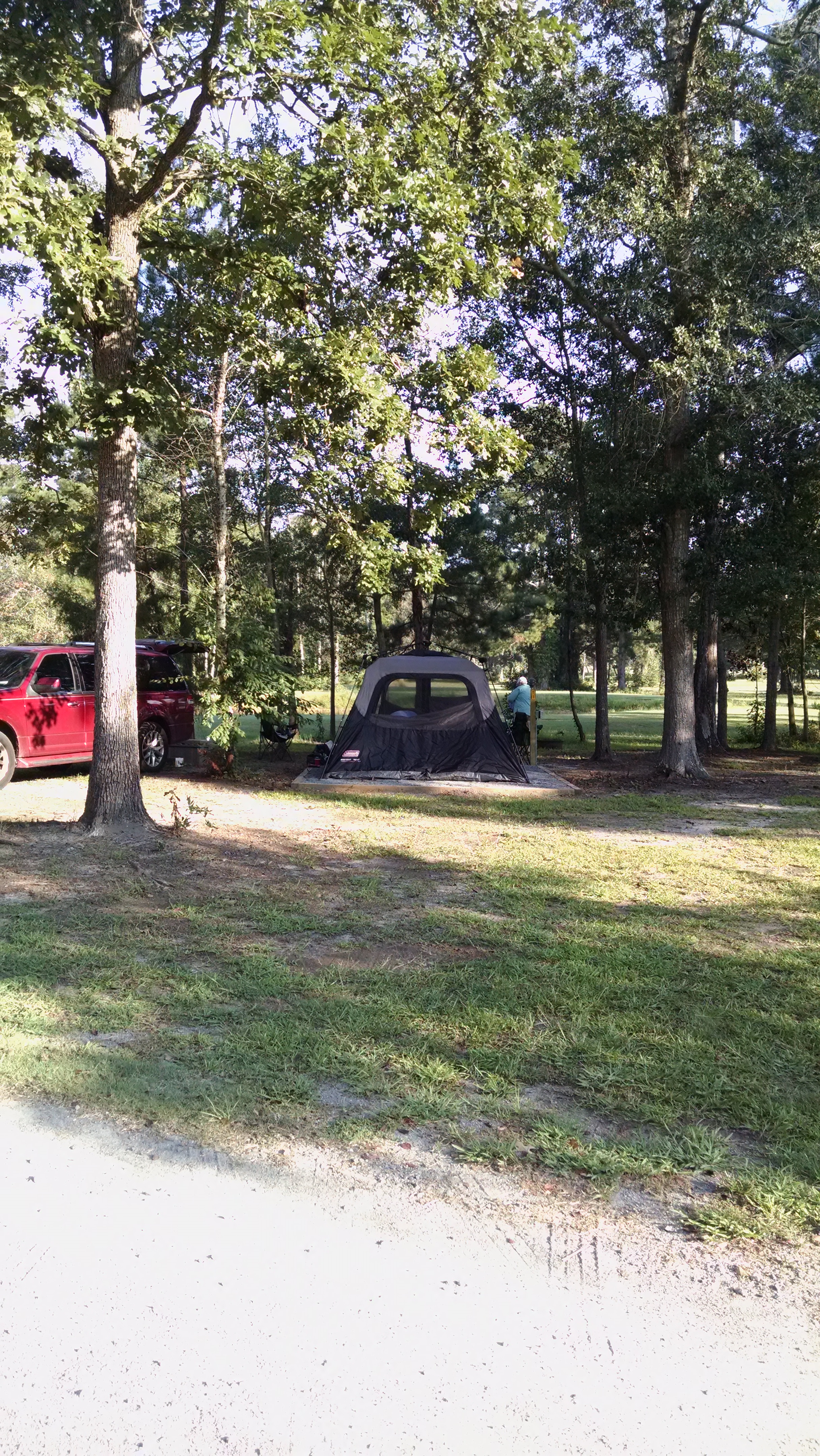 Tent Site 1 with raised tent pad 14x16 , picnic table, firering and electric