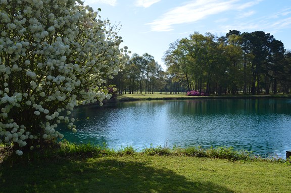 Pond on Course