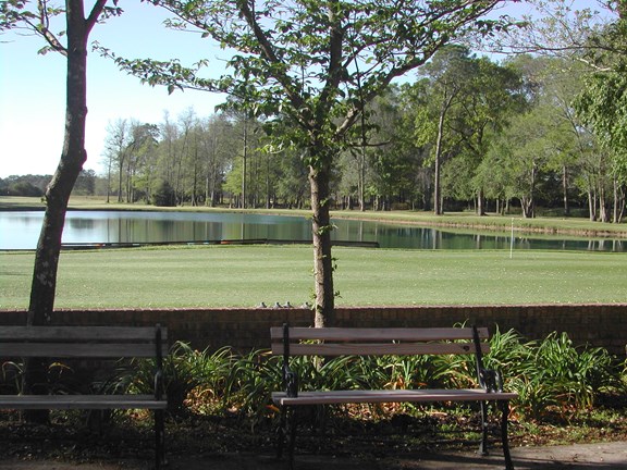 Putting Green