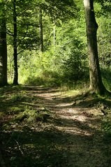 Walking Trail
