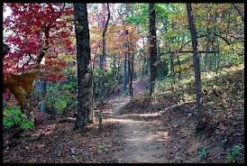 Hiking