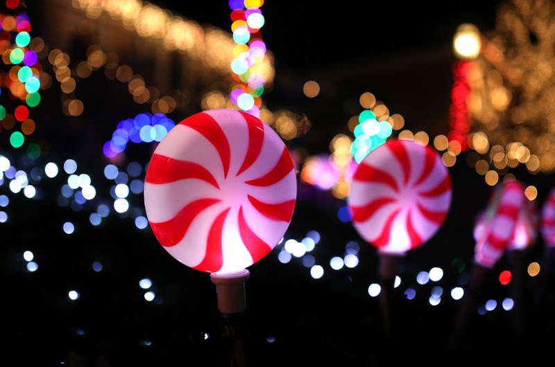 Holiday Lights in Upstate SC Photo