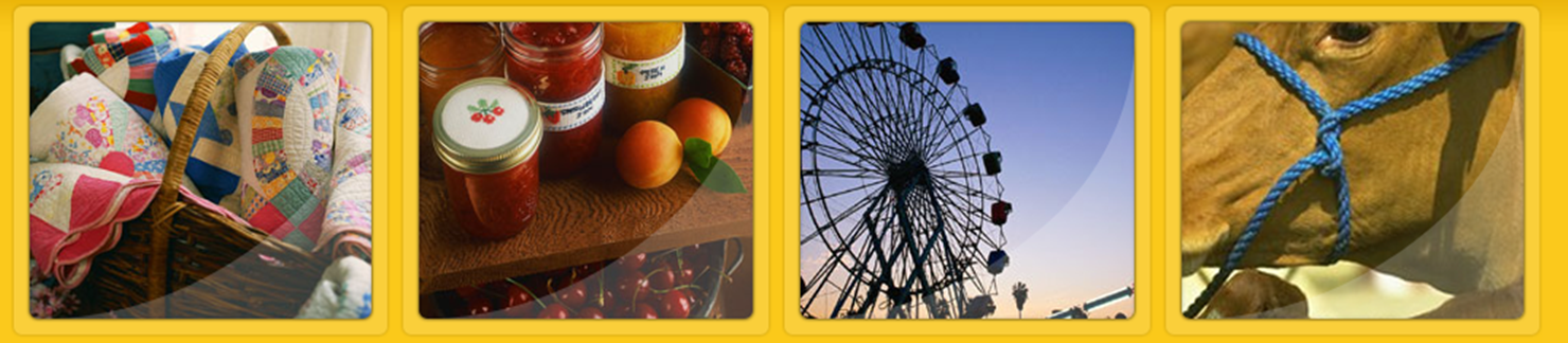 South Carolina Foothills Heritage Fair, Westminster Photo