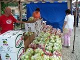 South Carolina Apple Festival, Westminster Photo