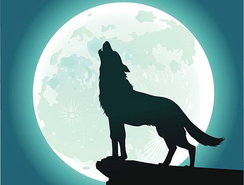 2026 Full Moon Special Photo