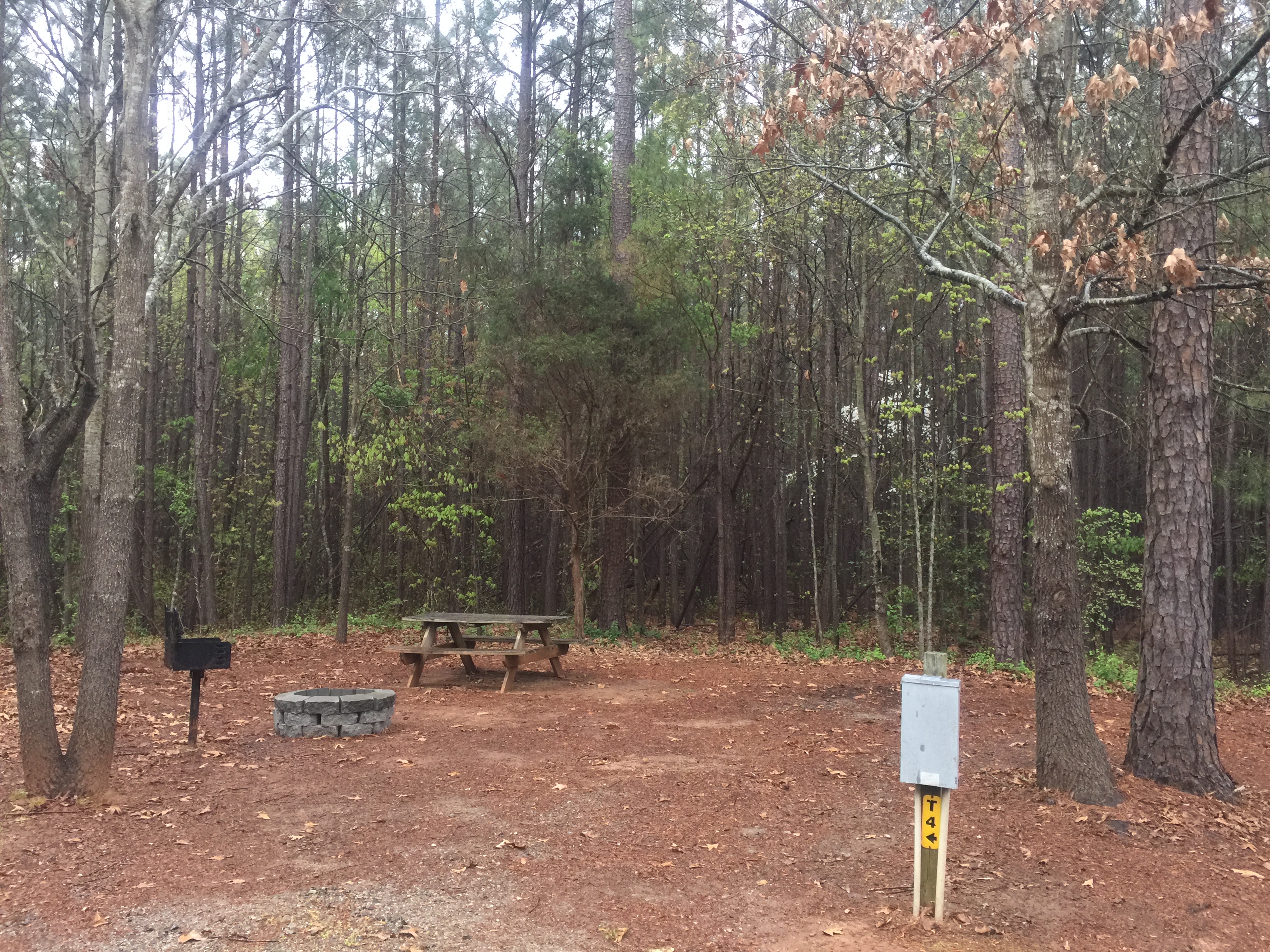 Tent Site with Electric and Water