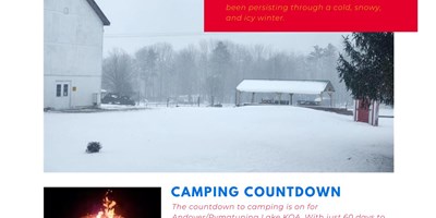 February 2025 Newsletter