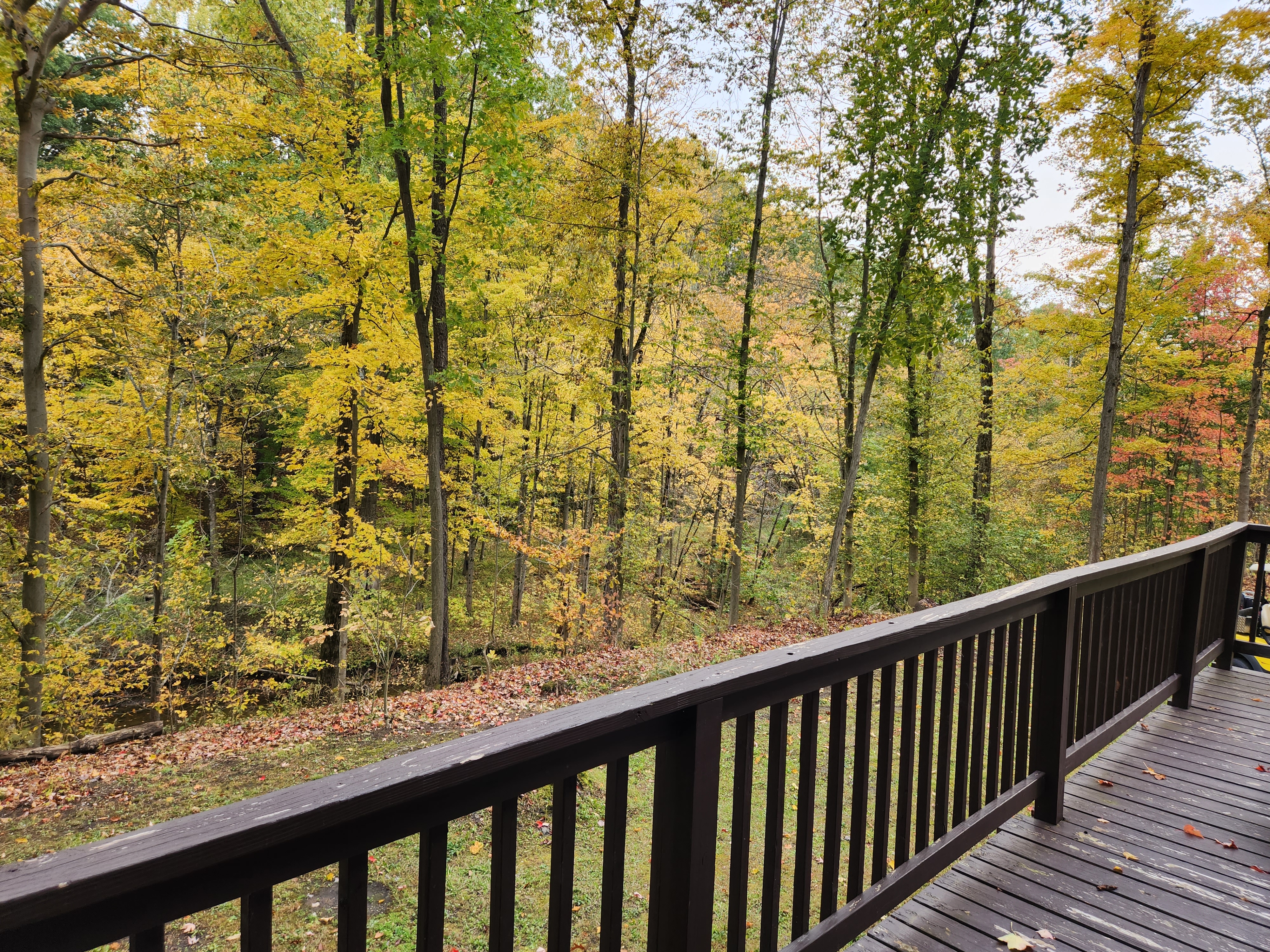 C06 Deck view 2