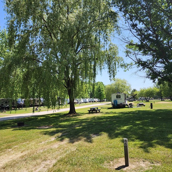 Site 88