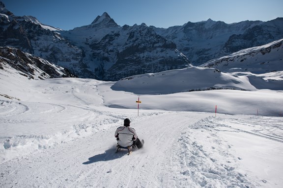 Toboggan Run