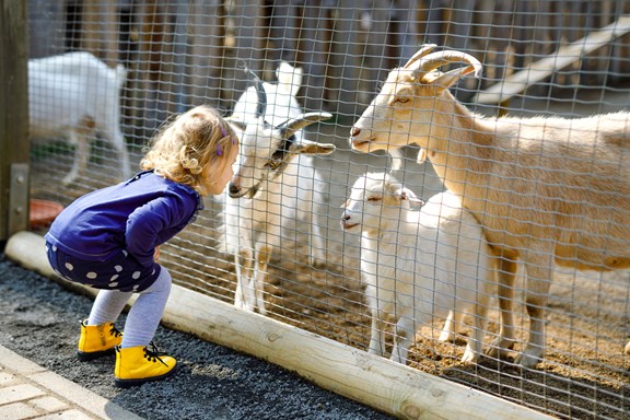 Fort Wayne Children's Zoo