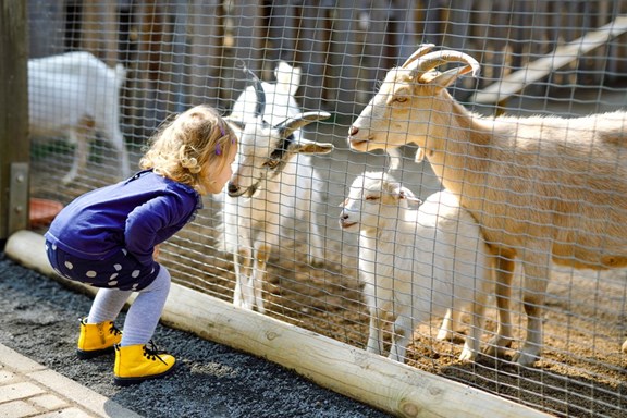 Fort Wayne Children's Zoo