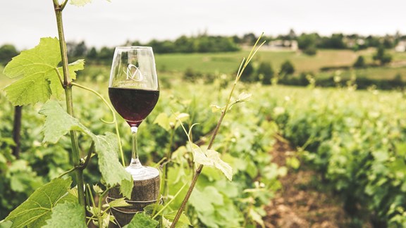 Briali Vineyards and Winery