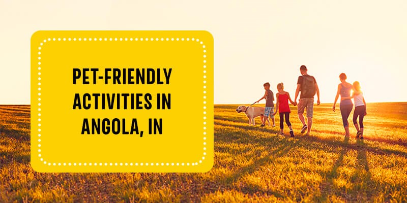 Pet-Friendly Activities in Angola, IN