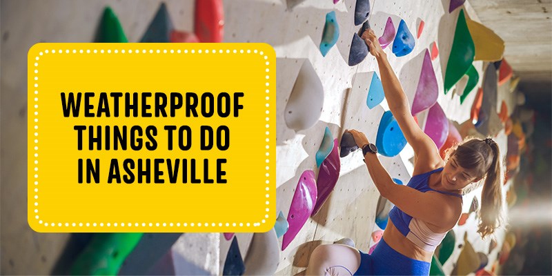 Weatherproof Things to Do in Asheville
