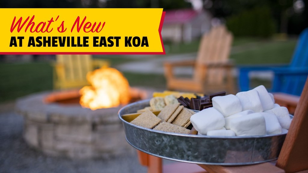What's New at Asheville East KOA!