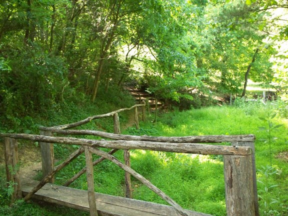 3/4 mile of Nature Trails on the Campground