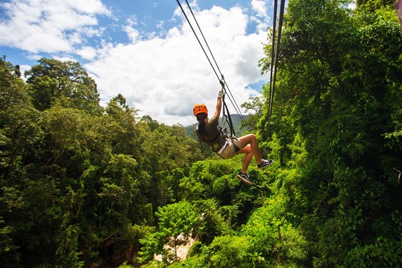 Zip Line and Canopy Tours