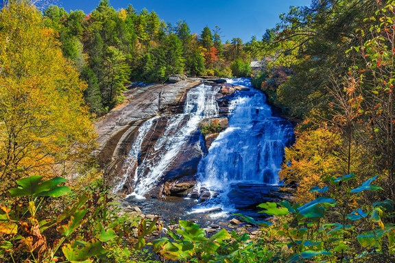 Du Pont State Forest