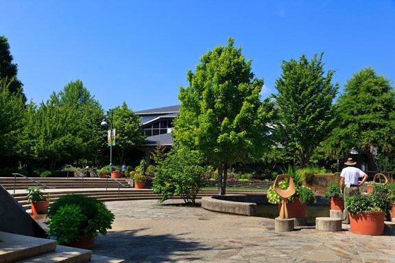North Carolina Arboretum