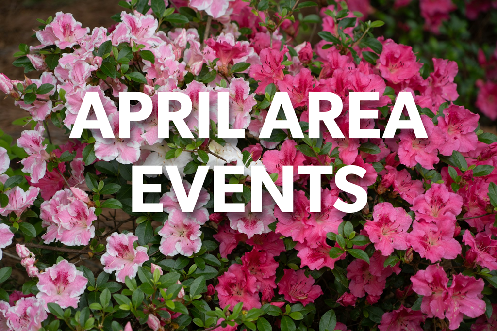 April Events in Western NC