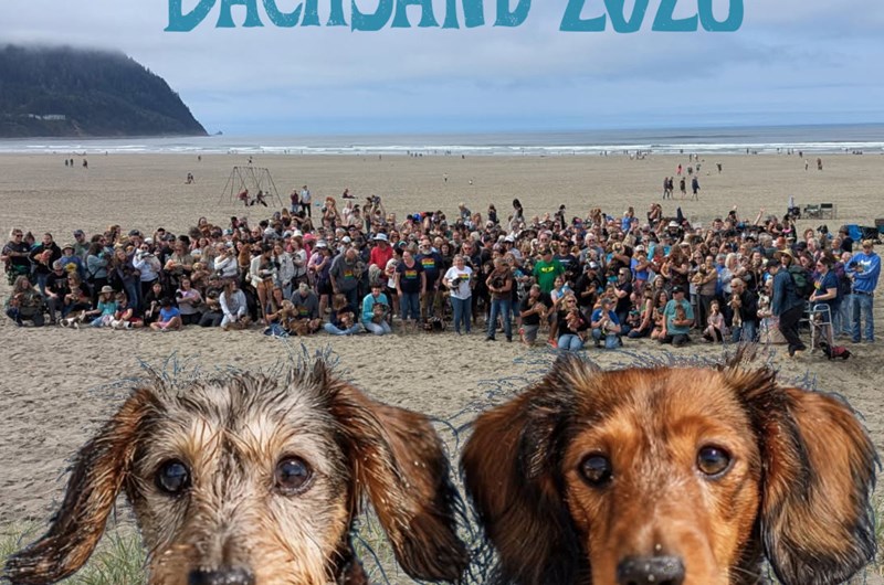 DachSand 2026 Photo
