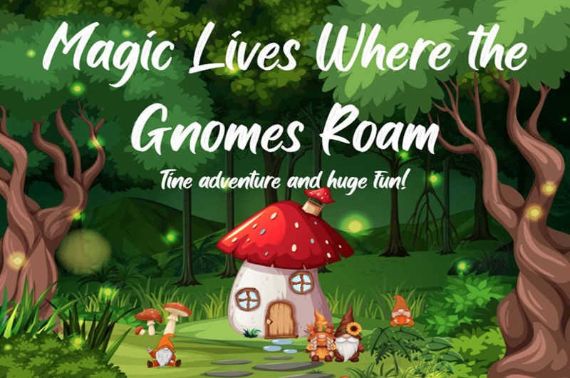Where the Gnomes Roam! Magic Lives Where the Gnomes play! Photo