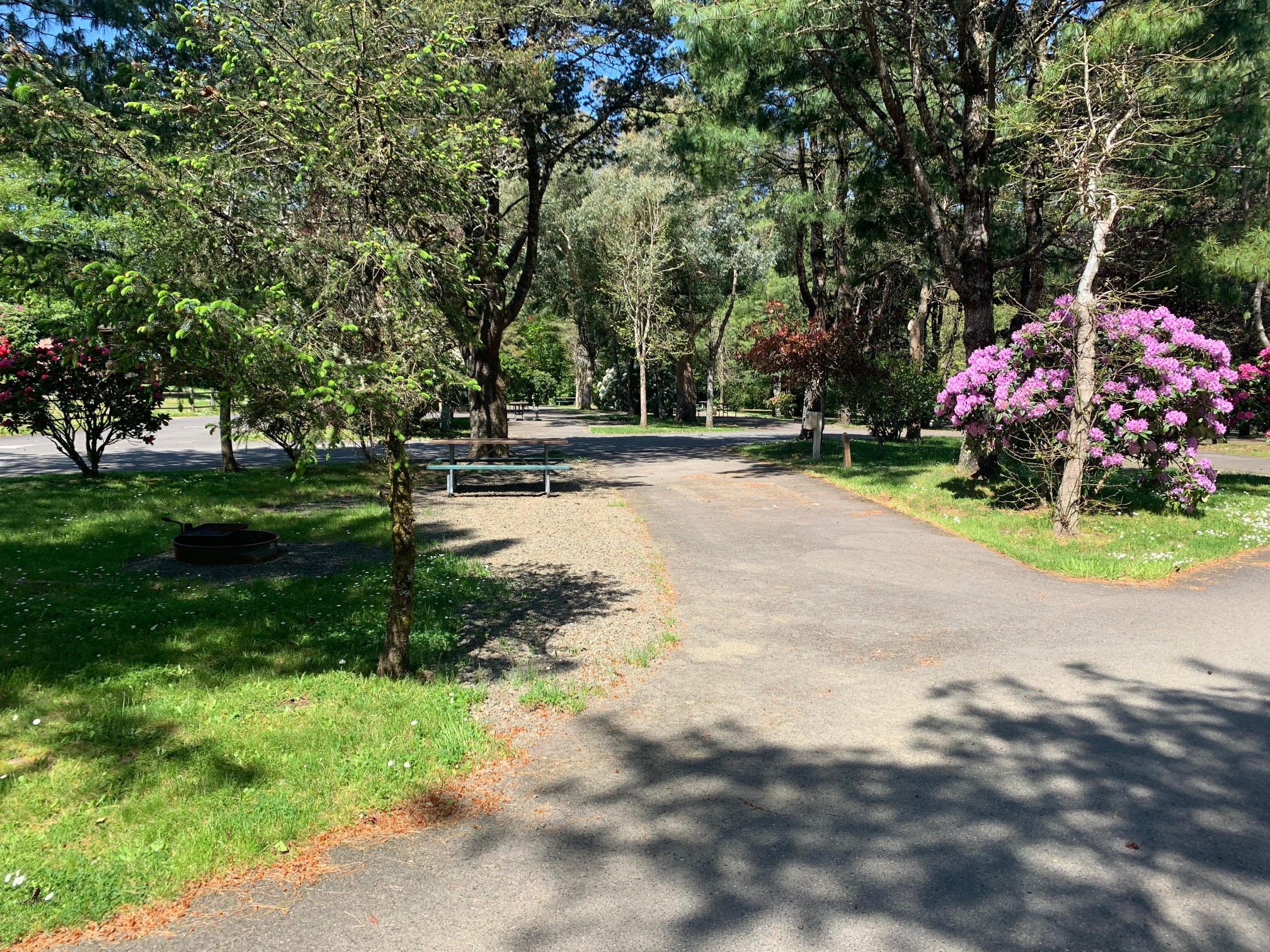 Pull thru paved rv site