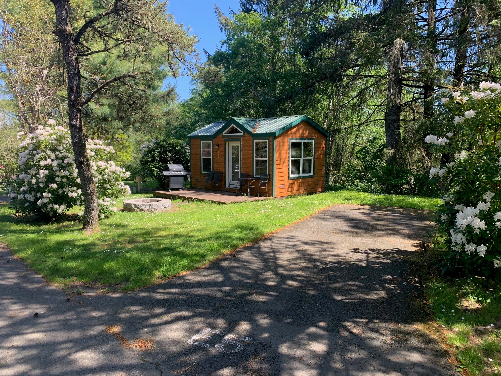 Deluxe studio cabin