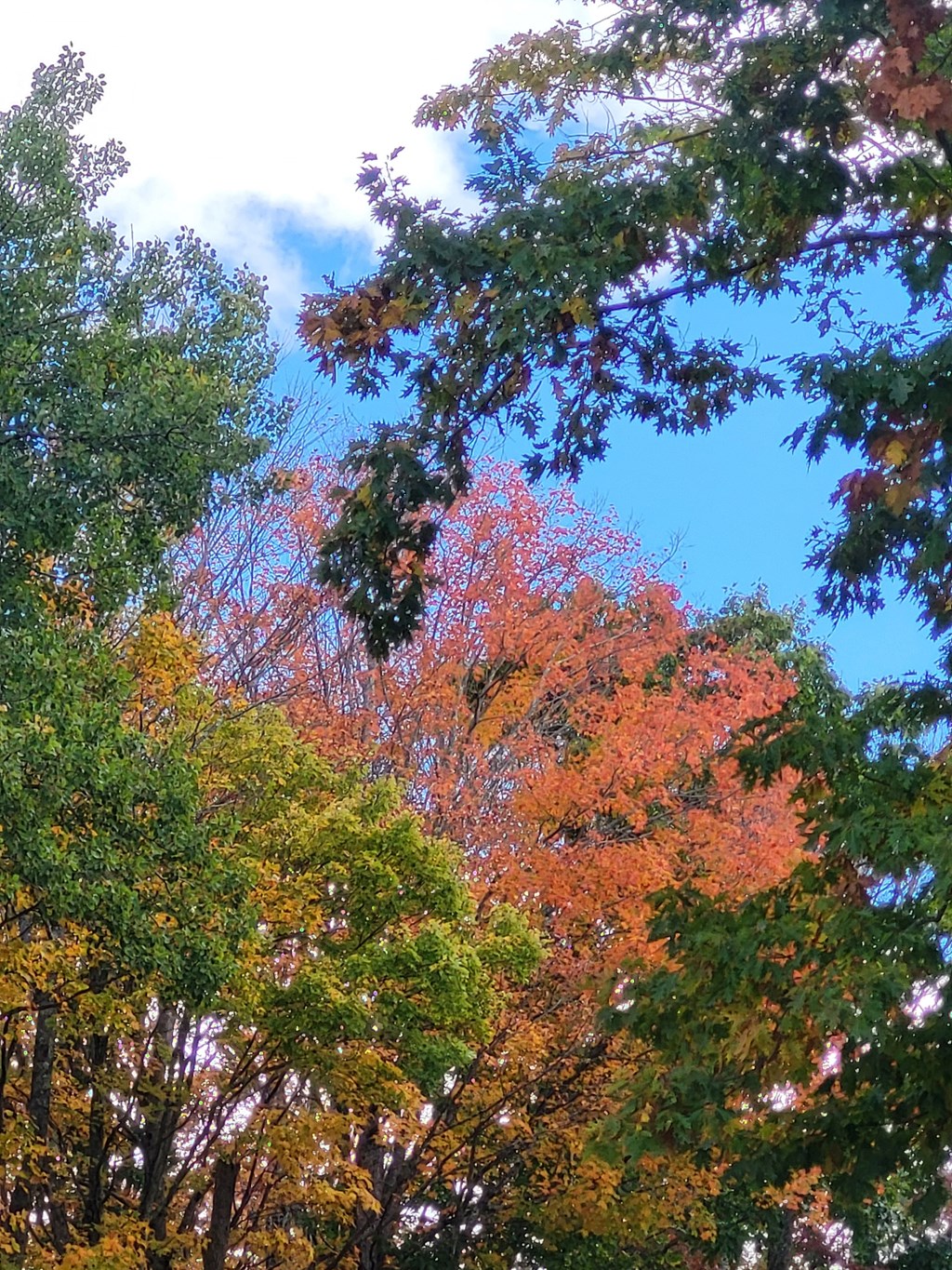 Fall Camping