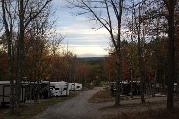 A Little About Our Park