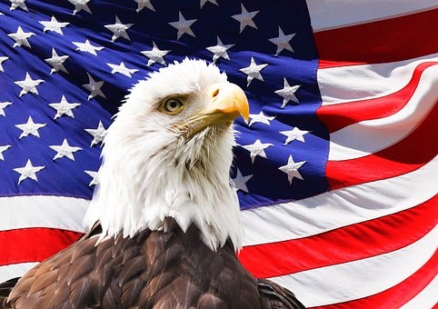 Red,White & Blue Photo